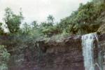 Guam scenes on hike to Tarzan falls