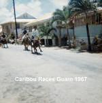 Carabou Race