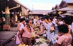 The market place in the Philippines was the everyday shopping place for the Pilipino's. Farmers and fishermen would make their produce available to the city dwellers.