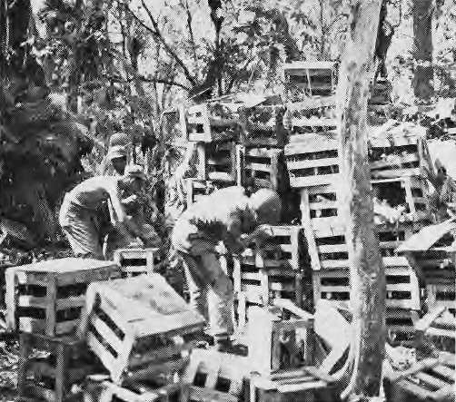 Japanese stores consisting of food, candy and rice wine were found on Guam